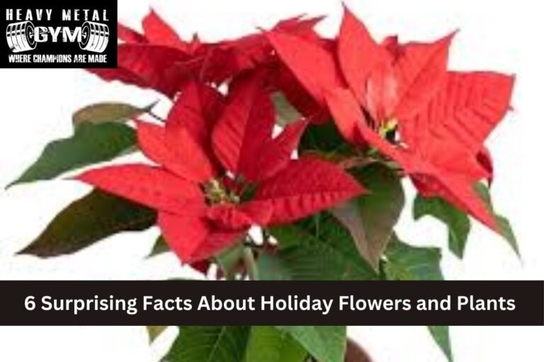 6 Surprising Facts About Holiday Flowers and Plants
