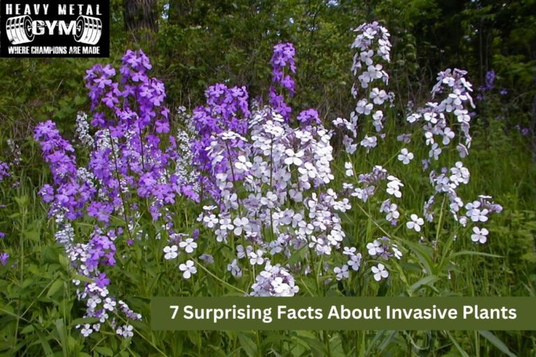 7 Surprising Facts About Invasive Plants