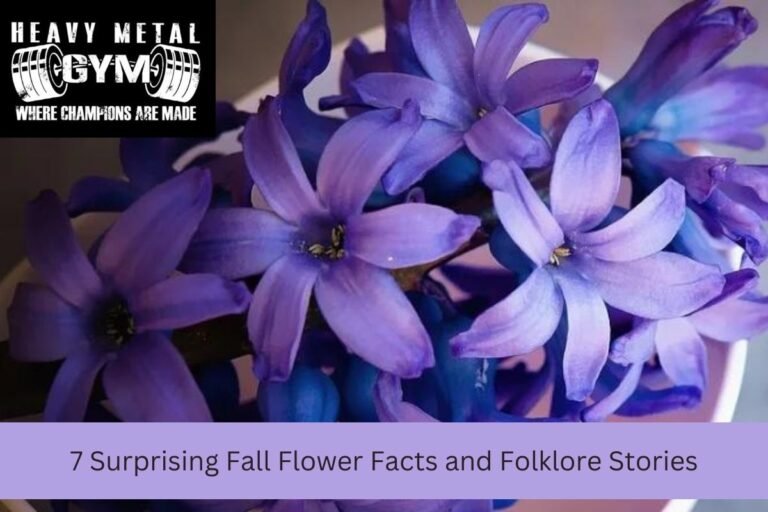 7 Surprising Fall Flower Facts and Folklore Stories