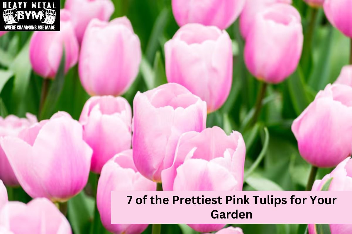 7 of the Prettiest Pink Tulips for Your Garden