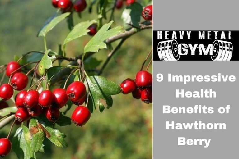 9 Impressive Health Benefits of Hawthorn Berry