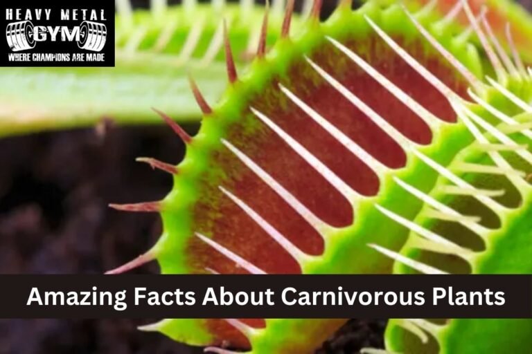 Amazing Facts About Carnivorous Plants