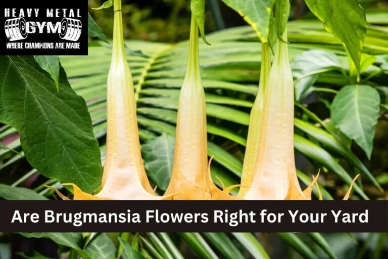 Are Brugmansia Flowers Right for Your Yard