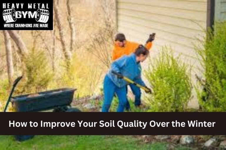 How to Improve Your Soil Quality Over the Winter