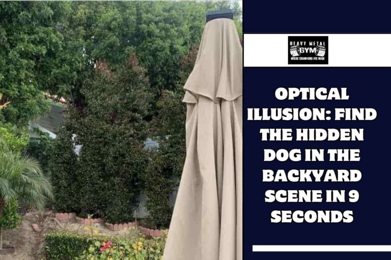 Optical Illusion Find the hidden dog in the backyard scene in 9 seconds