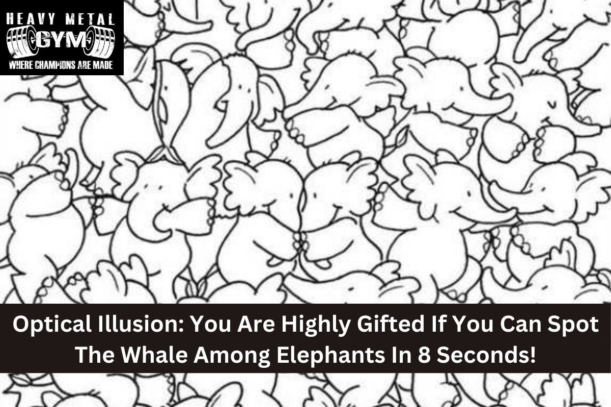 Optical Illusion: You Are Highly Gifted If You Can Spot The Whale Among Elephants In 8 Seconds!