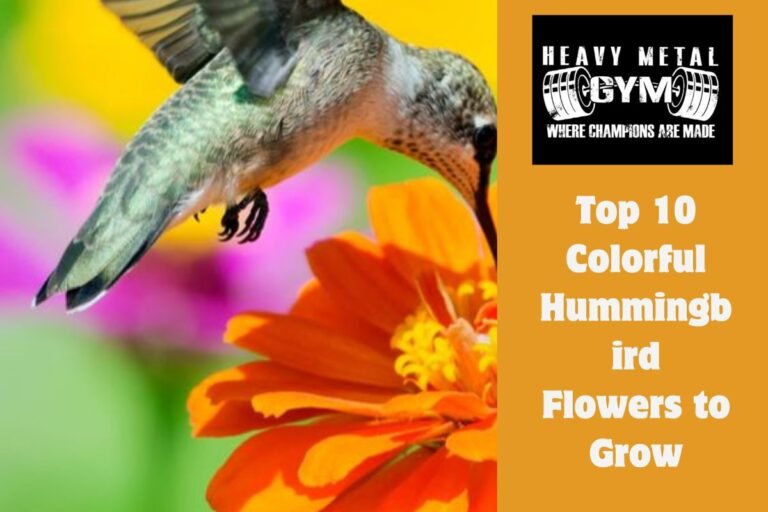 Top 10 Colorful Hummingbird Flowers to Grow