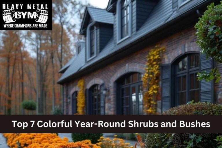 Top 7 Colorful Year-Round Shrubs and Bushes