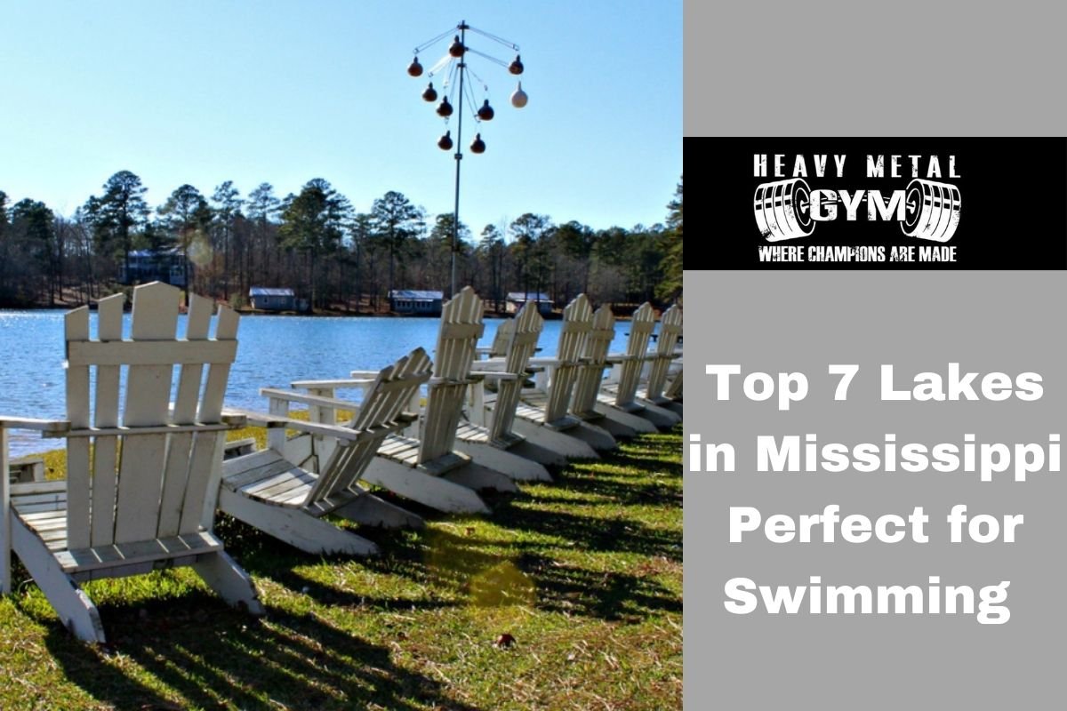 Top 7 Lakes in Mississippi Perfect for Swimming
