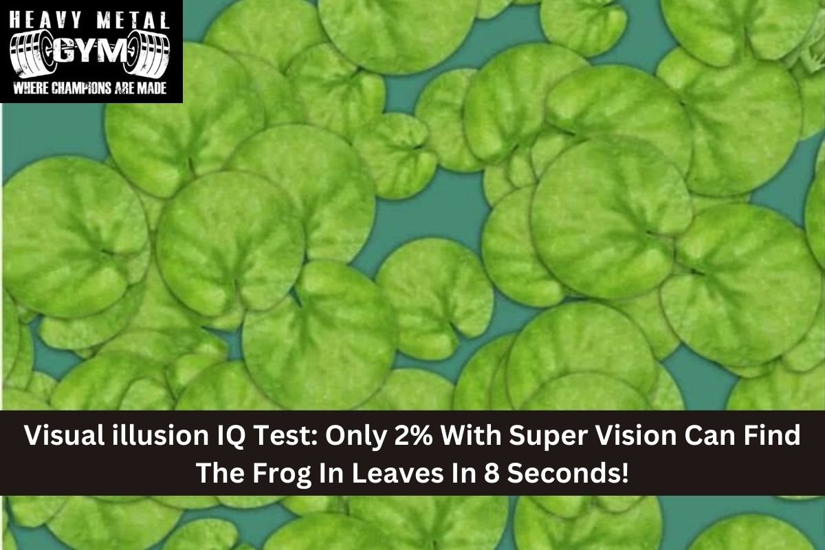 Visual illusion IQ Test: Only 2% With Super Vision Can Find The Frog In Leaves In 8 Seconds!